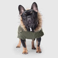 Charger l'image dans la visionneuse de la galerie, Canada Pooch - Army Parka Vert - 20 Canada Pooch