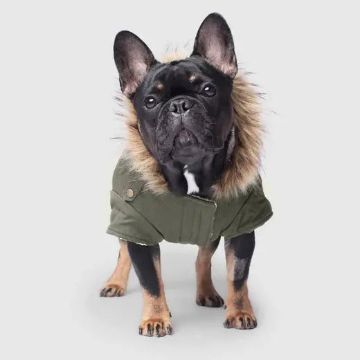 Canada Pooch - Army Parka Vert - 20 Canada Pooch