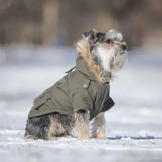Canada Pooch - Army Parka Vert - 20 Canada Pooch