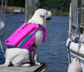 Load image into Gallery viewer, BayDog - Harnais de Flottaison pour chien BayDog