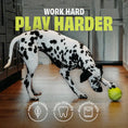 Load image into Gallery viewer, Benebone Bounce - Jouet distributeur Pawbler pour chien Benebone