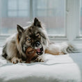 Load image into Gallery viewer, Benebone Dental Chew - Variété de tailles pour chien Benebone