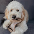 Load image into Gallery viewer, Benebone Dental Chew - Variété de tailles pour chien Benebone