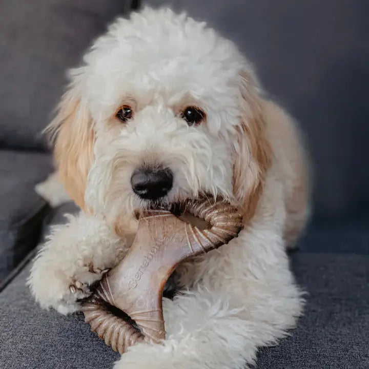 Benebone Dental Chew - Variété de tailles pour chien Benebone