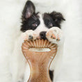 Load image into Gallery viewer, Benebone Dental Chew - Variété de tailles pour chien Benebone