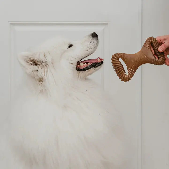 Benebone Dental Chew - Variété de tailles pour chien Benebone