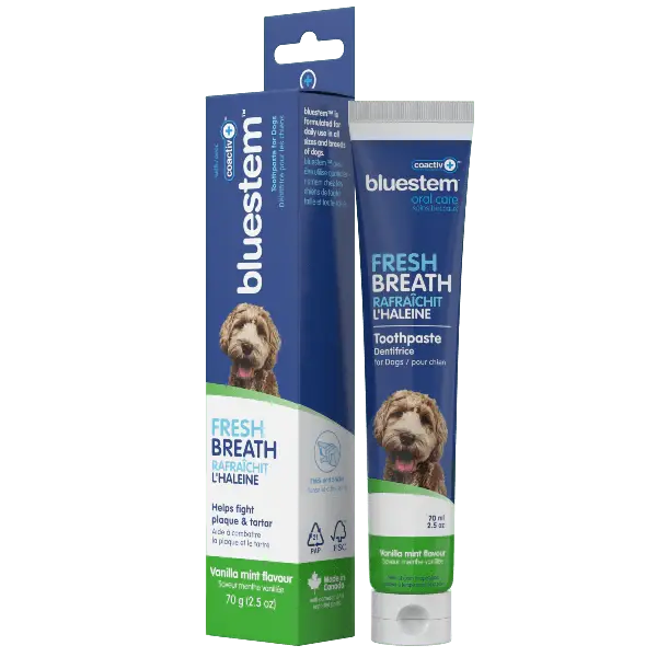 Bluestem - Dentifrice 70ml pour chien Bluestem