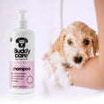 Charger l'image dans la visionneuse de la galerie, Buddy Care - Shampoing pour Chien Anti-Puce, Apaisant, Désodorisant Buddy Care