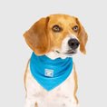 Charger l'image dans la visionneuse de la galerie, Canada Pooch Bandana et Refroidissant Bandana Collection Canada Pooch