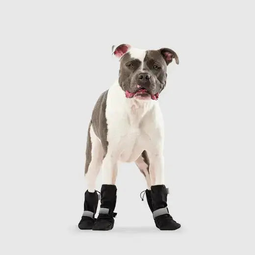 Canada Pooch - Bottes Soft Shield - Noir Canada Pooch
