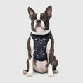 Charger l'image dans la visionneuse de la galerie, Canada Pooch - Harnais pour chien Everything Harness Canada Pooch