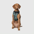 Charger l'image dans la visionneuse de la galerie, Canada Pooch - Harnais pour chien Everything Harness Canada Pooch