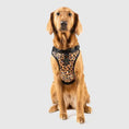 Charger l'image dans la visionneuse de la galerie, Canada Pooch - Harnais pour chien Everything Harness Canada Pooch