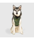 Charger l'image dans la visionneuse de la galerie, Canada Pooch - Harnais pour chien Everything Harness Canada Pooch