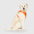 Charger l'image dans la visionneuse de la galerie, Canada Pooch - Harnais pour chien Everything Harness Canada Pooch
