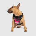 Charger l'image dans la visionneuse de la galerie, Canada Pooch - Harnais pour chien Everything Harness Canada Pooch