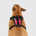 Charger l'image dans la visionneuse de la galerie, Canada Pooch - Harnais pour chien Everything Harness Canada Pooch