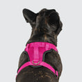 Charger l'image dans la visionneuse de la galerie, Canada Pooch - Harnais pour chien Everything Harness Canada Pooch