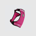 Charger l'image dans la visionneuse de la galerie, Canada Pooch - Harnais pour chien Everything Harness Canada Pooch