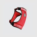 Charger l'image dans la visionneuse de la galerie, Canada Pooch - Harnais pour chien Everything Harness Canada Pooch
