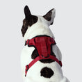 Charger l'image dans la visionneuse de la galerie, Canada Pooch - Harnais pour chien Everything Harness Canada Pooch