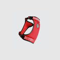 Charger l'image dans la visionneuse de la galerie, Canada Pooch - Harnais pour chien Everything Harness Canada Pooch