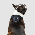 Charger l'image dans la visionneuse de la galerie, Canada Pooch - Harnais pour chien Everything Harness Canada Pooch