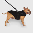 Charger l'image dans la visionneuse de la galerie, Canada Pooch Harness Harnais Puffer - Noir & Plum Canada Pooch