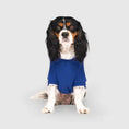 Load image into Gallery viewer, Canada Pooch - Sweat ร Capuche ECO+ pour chiens Canada Pooch
