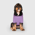 Load image into Gallery viewer, Canada Pooch - Sweat ร Capuche ECO+ pour chiens Canada Pooch