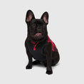Load image into Gallery viewer, Canada Pooch - Thermal Tech Sweater - Red Plaid Canada Pooch