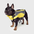 Charger l'image dans la visionneuse de la galerie, Canada Pooch - Wave Rider - Gilet Sauvetage pour chien Canada Pooch