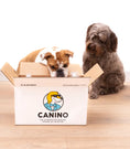 Load image into Gallery viewer, Canino - Nourriture crue de haute qualité pour chien 40lbs Canino