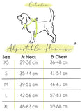 Charger l'image dans la visionneuse de la galerie, Hashtag Catso - Adjustable harness - Catso & co