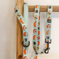 Load image into Gallery viewer, MAKI - leash - Catso & co