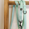 Charger l'image dans la visionneuse de la galerie, MAKI PLAIN - leash - Catso & co