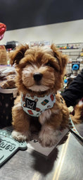 Charger l'image dans la visionneuse de la galerie, PEANUT BUTTER - Adjustable harness NEW. - Catso & co