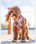 Charger l'image dans la visionneuse de la galerie, Sassy - Adjustable harness - Catso & co