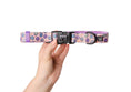Load image into Gallery viewer, Sugar rush - adjustable collar - Catso & co