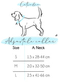 Charger l'image dans la visionneuse de la galerie, Sugar rush - adjustable collar - Catso & co