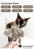 Load image into Gallery viewer, Catwant - Fleur en Papier à l'herbe à Chat (Rose) Catwant