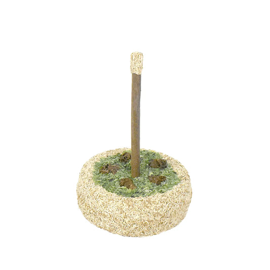 Catwant - Gâteau d'anniversaire Silvervine Catwant