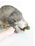 Load image into Gallery viewer, Catwant - Sucette - Variétés de Saveur Catwant