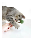 Load image into Gallery viewer, Catwant - Sucette - Variétés de Saveur Catwant