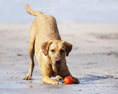 Load image into Gallery viewer, Chuck It - Fetch Balle pour chien ChuckIt