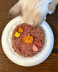 Load image into Gallery viewer, Dog's Crush - Bol Agrumes Neige 3 en 1 pour animaux