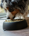Load image into Gallery viewer, Dog's Crush - Bol Melon Cendre 3 en 1 pour animaux
