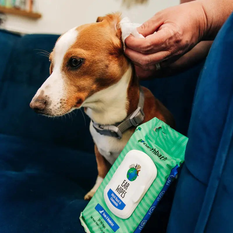 EarthBath - Lingettes pour toilettage pour chien et chat (paquet de 100) EarthBath