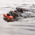 Charger l'image dans la visionneuse de la galerie, KONG - Training Dummy - Large KONG ™