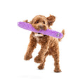 Load image into Gallery viewer, Guru - Fry Guys - Jouets pour chien Guru